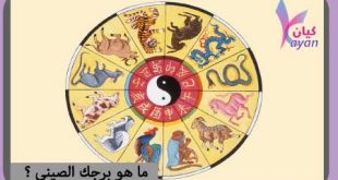 الابراج الصينية